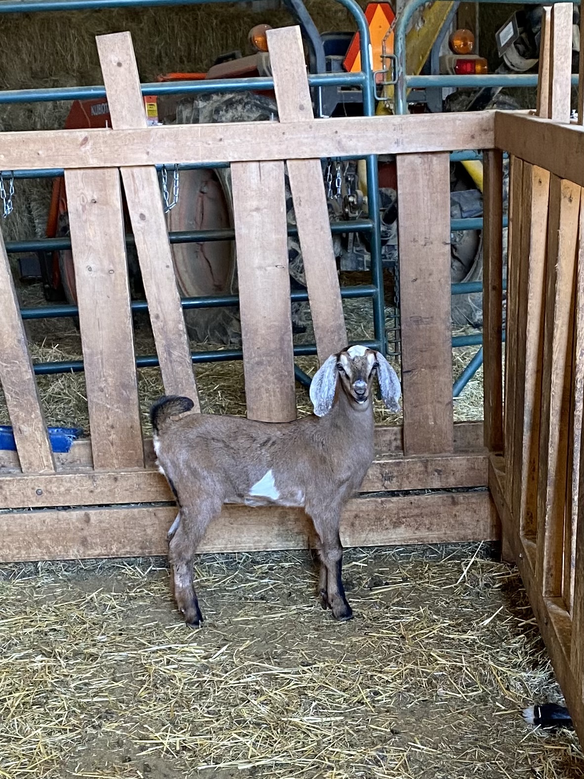 doeling